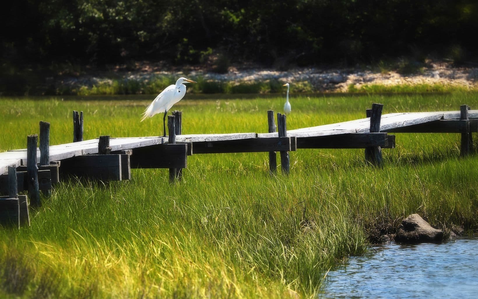 Mashomack Nature Preserve